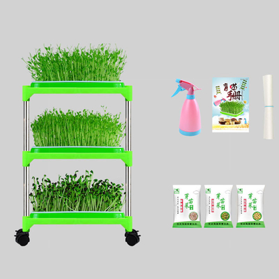 Indoor Pp  Hydroponic Seedling Tray Stand For Family Corrosion Resistant