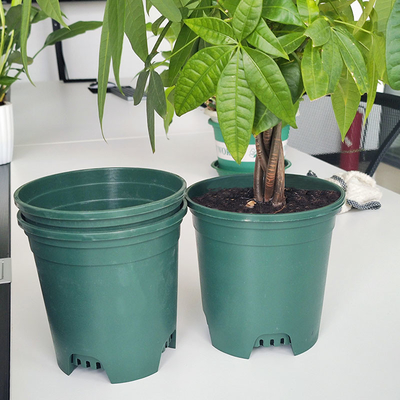Family Sun Resistant  6 Inch Plastic Nursery Pots 9cm Round Plant Pots