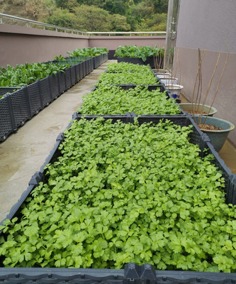 Backyard 0.5mm-16.0mm Thick Plastic Garden Planter Box Long Service Life