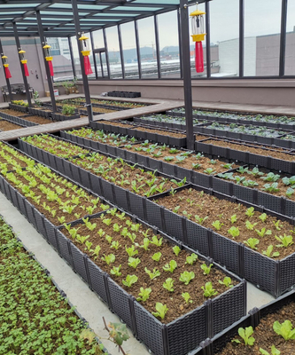 160*40*22cm Plastic Raised Garden Bed Planter Self Watering Plastic Deck Planter Boxes