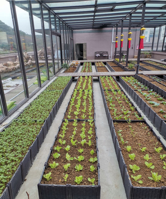 Multifunction Elevated Plastic Planter Box For Vegetable Growing Weather Resistance