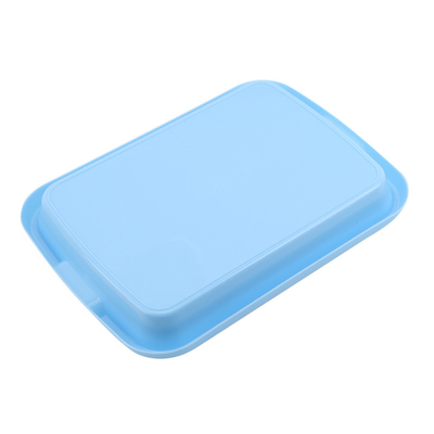 Rich Nutrition Seed Sprout Tray Plate  UV Stabilized Customized Size