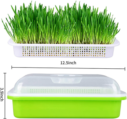 Light Transmitting Seed Sprout Tray Seed Germination Box Flexible