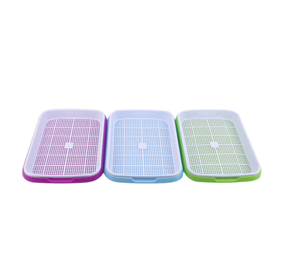 11cm High Plastic Water Growing Seed Sprout Tray Biodegradable