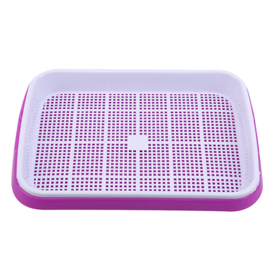 31cm Length Bean Sprout Growing Tray Two Tray Sprouter No Leakage