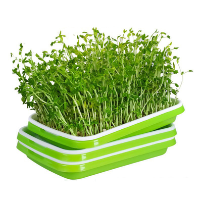 Recyclable PP  Microgreen Sprouting Trays With Cover Lid Kitchen Use