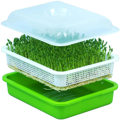 Corrosion Proof Commercial Seed Sprout Tray 4.3 Inch High Different Size