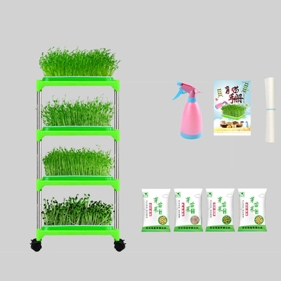 PE Coated Seedling Tray Stand Mung Bean Sprouting Tray Environment friendly