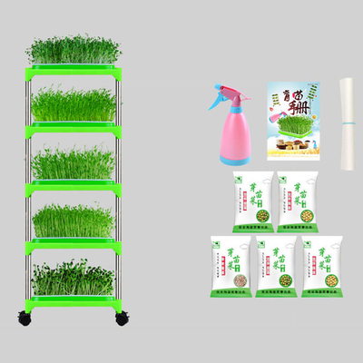 PE Coated Seedling Tray Stand Mung Bean Sprouting Tray Environment friendly