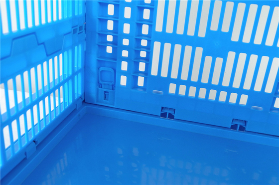 Agricultural Ventilated Plastic Folding Basket / Collapsible Plastic Crates Moisture Proof